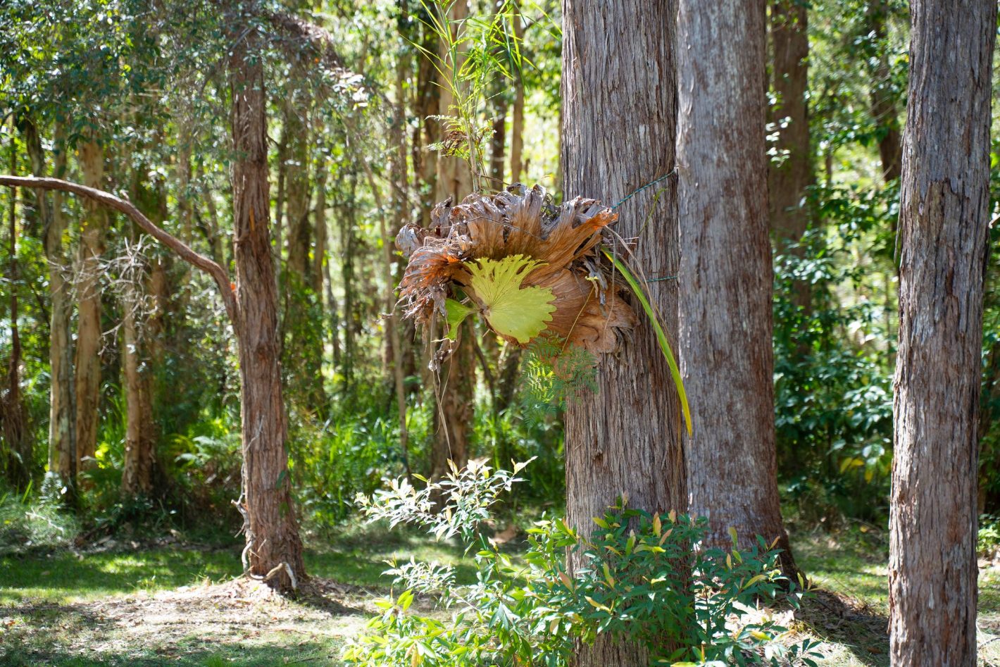 33 Butler Road, Doonan, QLD 4562
