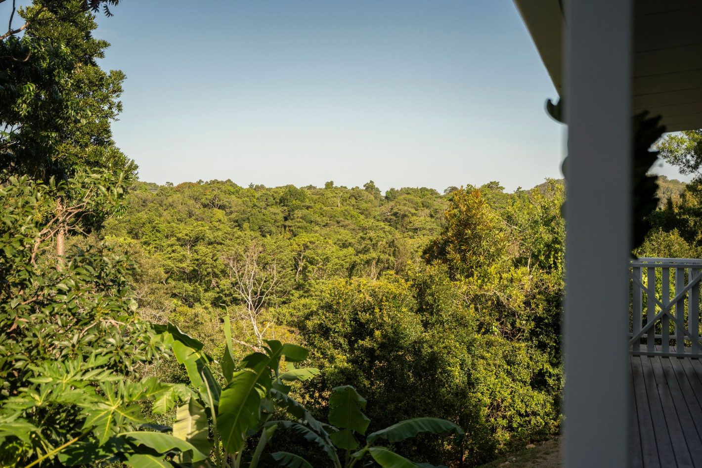 49 Jocelyn Drive, Eumundi, QLD 4562
