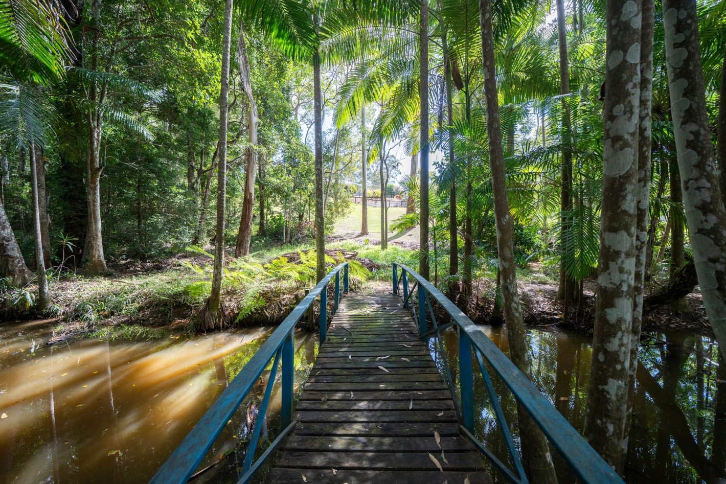 12 Meadow Court, Doonan, QLD 4562